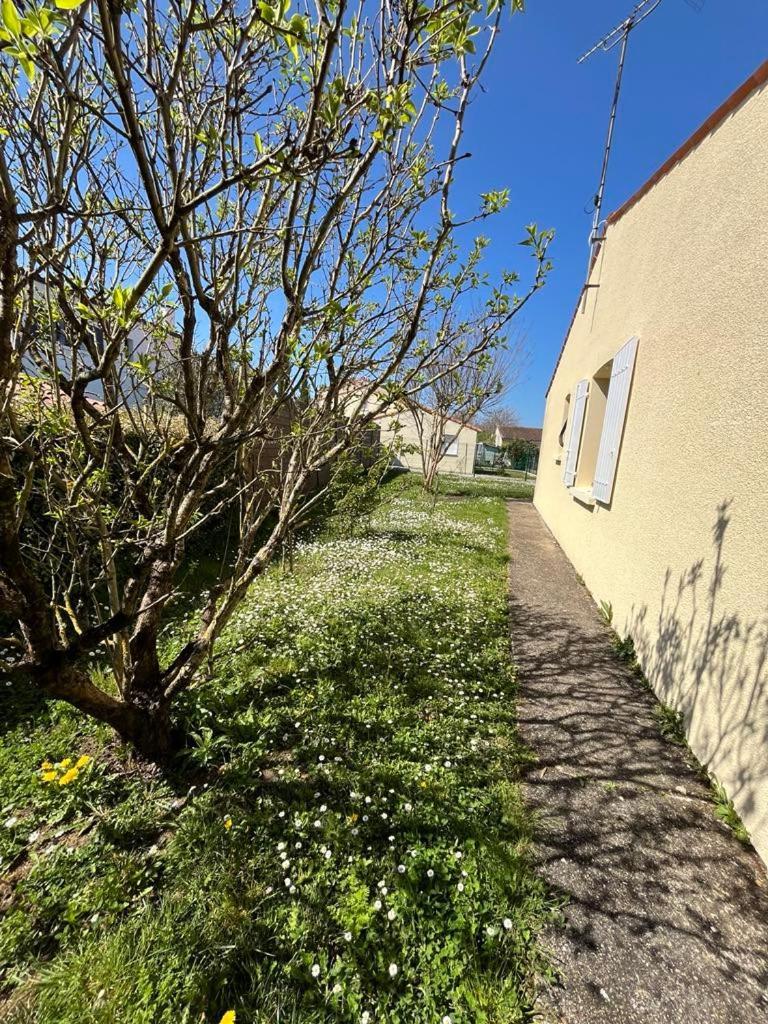 Maison 3 -